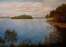Чайки над озером.