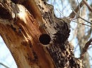 Сокрытая природа - часть 5