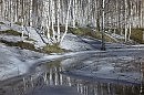 Весенний набросок    Исполняет Нина Вереск