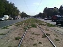 Долгая счастливая жизнь