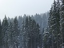 Буковель