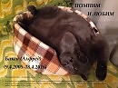 Помним и любим