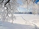ЗИМНЯЯ СКАЗКА