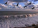 Счастье - несчастье