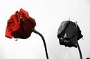 Любовь почудилась