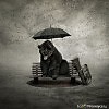 Что я не Тютчев, знаю точно...