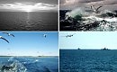 Ностальгия по морю