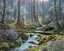 РОЖДЕНИЕ НОВОЙ РЕКИ