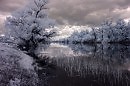 another world