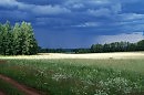 Перед грозой