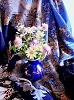 Придорожные  милые цветы