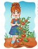 Помидорчиков нарву