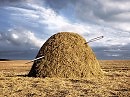 Человеческая глупость