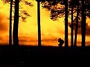 Фотограф