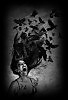 Шепот в  тени (Whispers in the shadow)