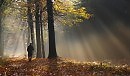 Alexy.Nov - Classical Autumn Melancholy