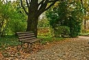 Одинокая скамья