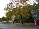 Осень  в   Ивано - Франковске