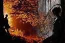 Это осень во всем виновата...   Евгений Шувалов.