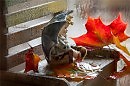 Ультрафиолетом.
