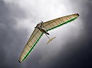 GLIDER
