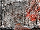 Осень  ускользает