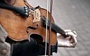 Violin 07.12.2016