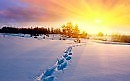 В ПОДАРОК ЖАР-ПТИЦА (МЕФОДИЙ) исп. Евгений Мишенков