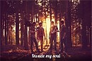 Тишина (Invade my soul)