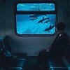 Снег опадает,  как листья