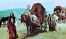 Золотом заря творила!✨ Исполняет Андрей Андриянов ✨