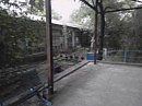 Белая криница
