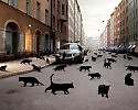 ПЯТНИЦА 13 ое -