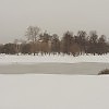 Зима на Измайловском острове