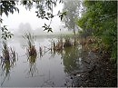 Рассвет