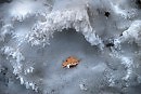 НА ЗИМОВКЕ