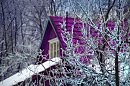 КРАСКИ НАСТРОЕНИЯ