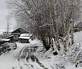 Фото-графика. Черно-белый май