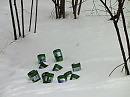 Подснежники