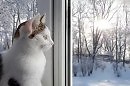 Играет солнце по-весеннему… слова Анатолия Третьякова, музыка Ларисы Мерзляковой, аранжировка Николая Рыжова, исполняет Олег Чуприн