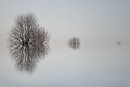 Беловодье