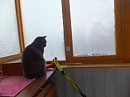 А где зима