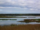 Осеннее