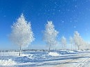 Ясным днем