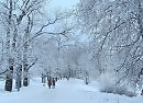 В парке...на Елагином острове..