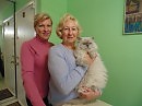 "Гангстер"