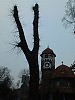 "Рогатка" великана.
