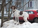 Грусть ожидания