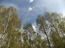 качнулись своды