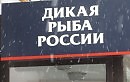 Мы открылись